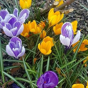 Meet your Posher, Marina